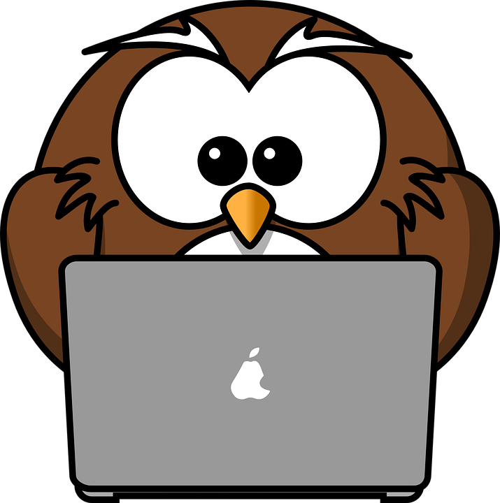 owl-158414_960_720.png