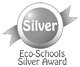 Eco Silver